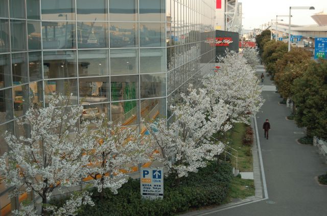 02.jpg