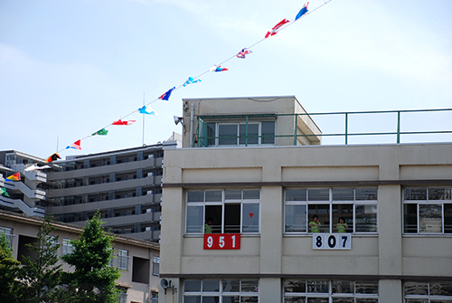 55.jpg