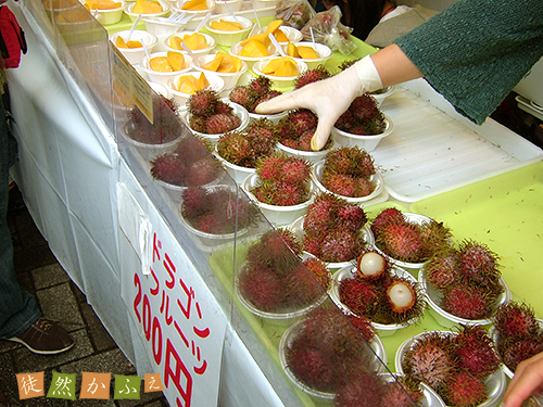 DSCF0698.jpg