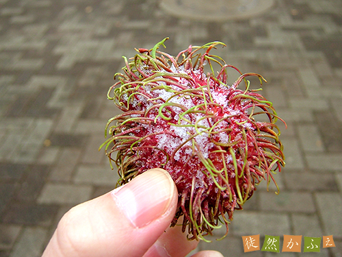 DSCF0701.jpg